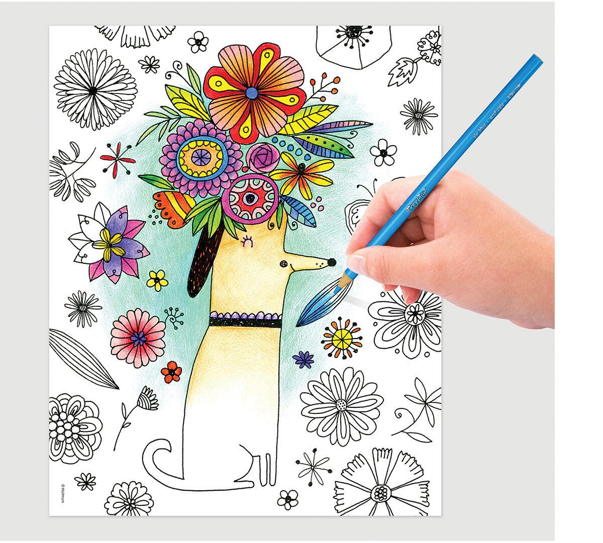 CRAYOLA 992021 Whimsical Escapes Adult Coloring Book Colouring